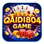Qaidi804 Game