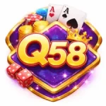 Q58 Game